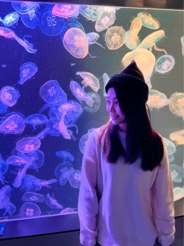 香港打卡+親子餐廳🍀水母主題西餐廳