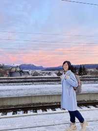 Boarding the Arctic Train