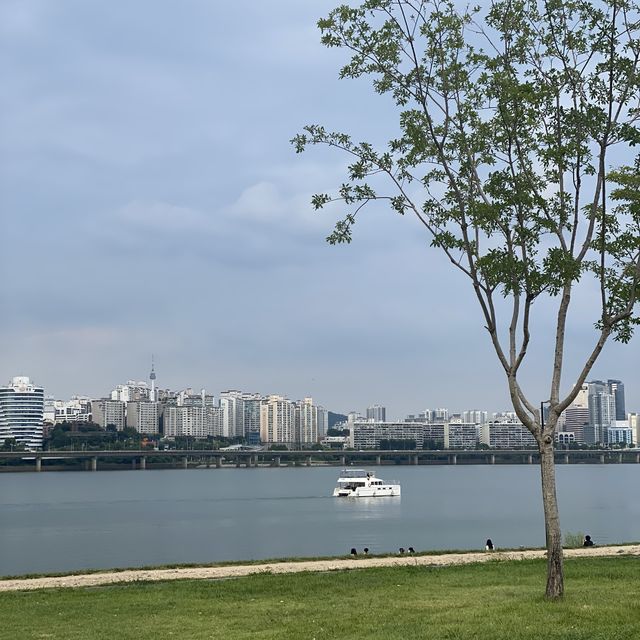 [서울 여행] 여의도 한강공원