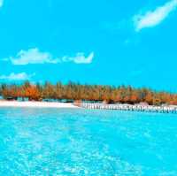 GILI NOKO BAWEAN ISLAND : GRESIK