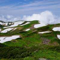 初夏の鳥海山を眺めながら