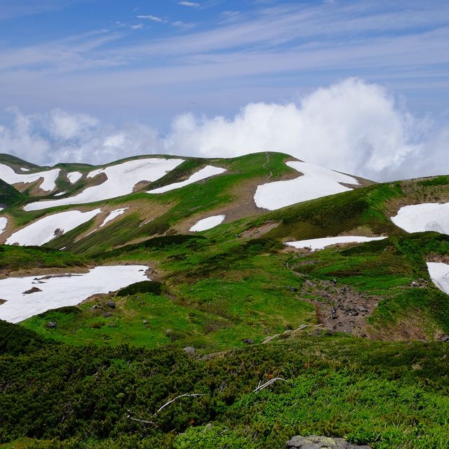 初夏の鳥海山を眺めながら