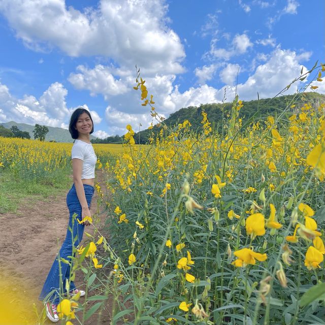 ไปเที่ยวทุ่งดอกปอเทือง ที่สวยที่สุดในประเทศไทย ❤️