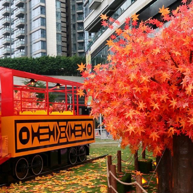 🍁紅葉旺季，人人都想「楓」🍁
