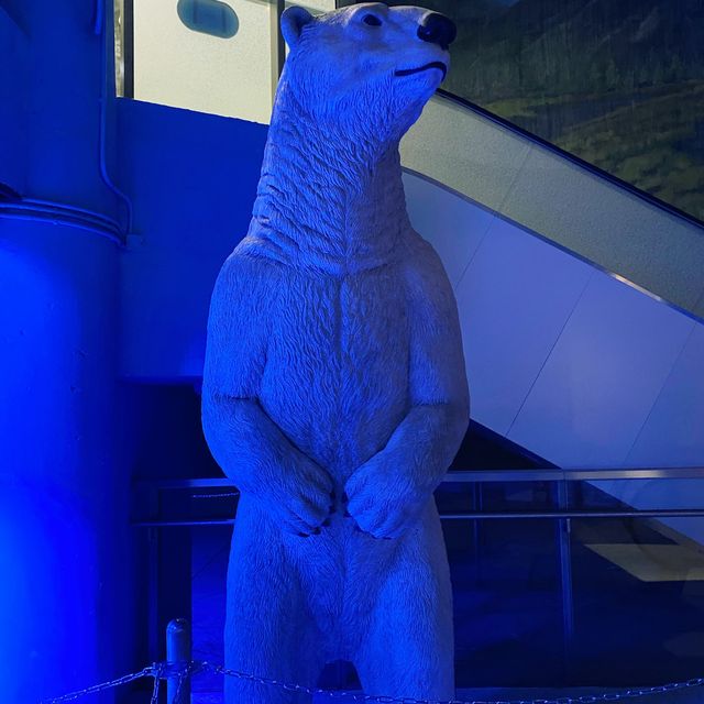 北極之旅