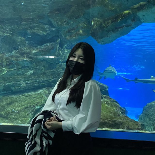 코엑스 아쿠아리움 포토존 살펴보고 가세요~!