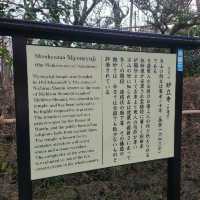 からくり満載の忍者屋敷【妙立寺】✨