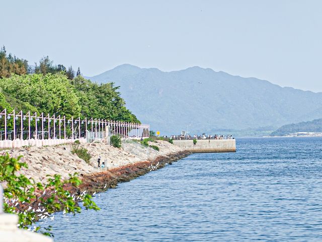 無敵大海 大埔工業碼頭