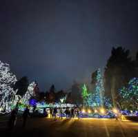 Christmas lights festival at the botanical gardens 