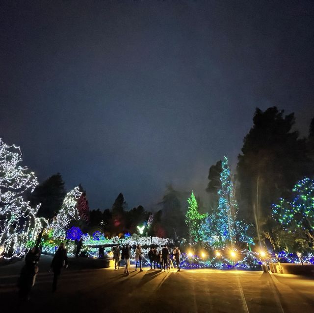 Christmas lights festival at the botanical gardens 
