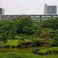 Beautiful Japanese garden  at Chiba