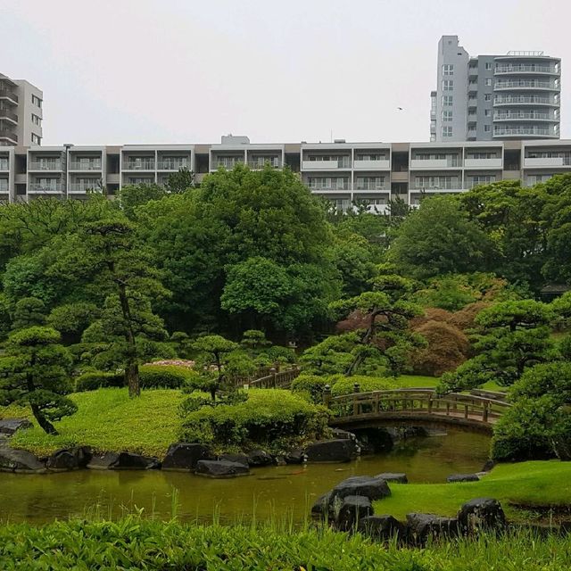 Beautiful Japanese garden  at Chiba