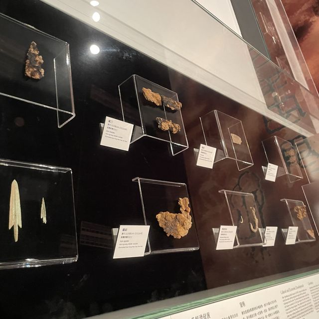 文物探索之旅展覽