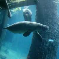 Trip to River Wonders