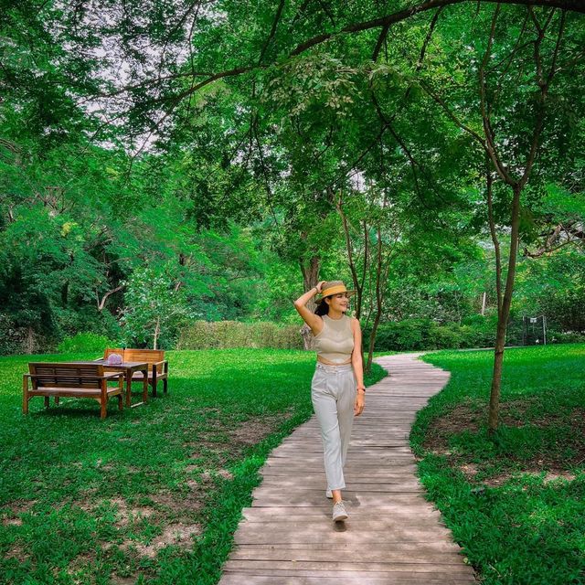 คาเฟ่ที่มีวิวสวนสวยๆ สีเขียวๆสลายตาสุดๆ