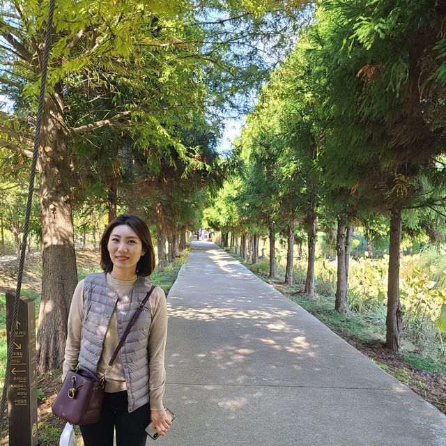 핑크뮬리가 펼쳐진 청산수목원, 서산 구움당