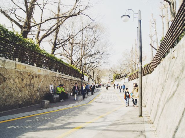 감고당길 🌺 꽃놀이