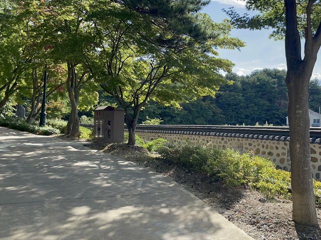 경포대에 누워서 휴식 즐기기🎶