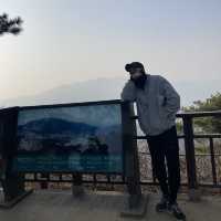서울 등산 단풍구경 나들이_청계산