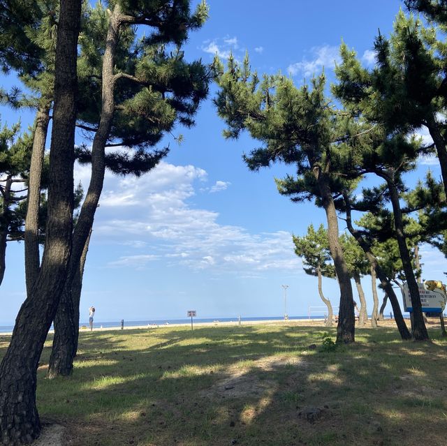 수영하기 좋은 낙산해수욕장🌊