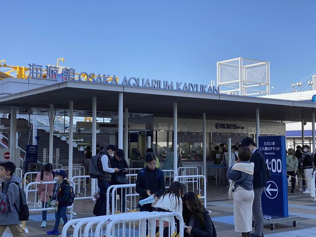 休日は多くの人で賑わっていました大阪の水族館『海遊館』