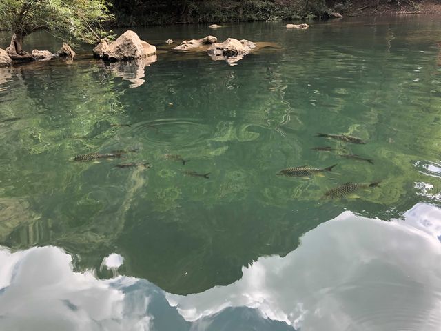 Tha Falang Lake🐟