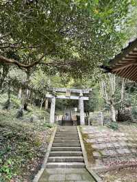 【熊本】天草﨑津諏訪神社