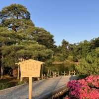 【兼六園】早朝が最高☀️