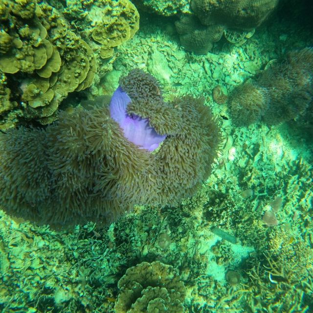 First Time Snorkeling