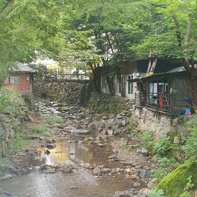 계곡 앞, 고추장삼겹살 아르페지오!