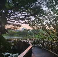 Sunset at Yishun Park