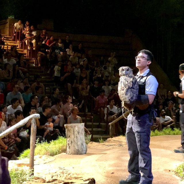 新加坡夜遊野生動物園