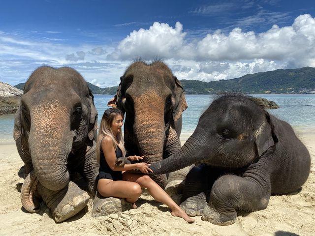 🐘ช้างๆน้อยเคยเห็นทางในทะเลหรือเปล่า 😳