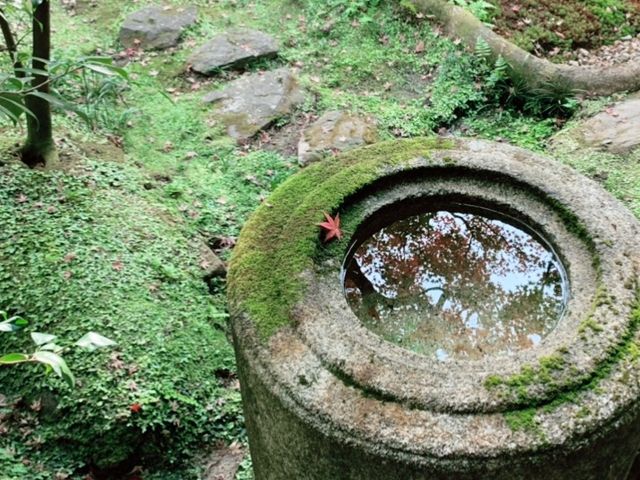 京都[紅葉めぐり]  永観堂(禅林寺)  圧巻の堂内編