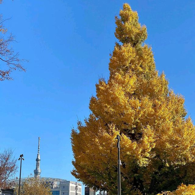 UENO PARK