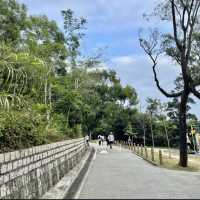 香港行山路徑-西高山📍