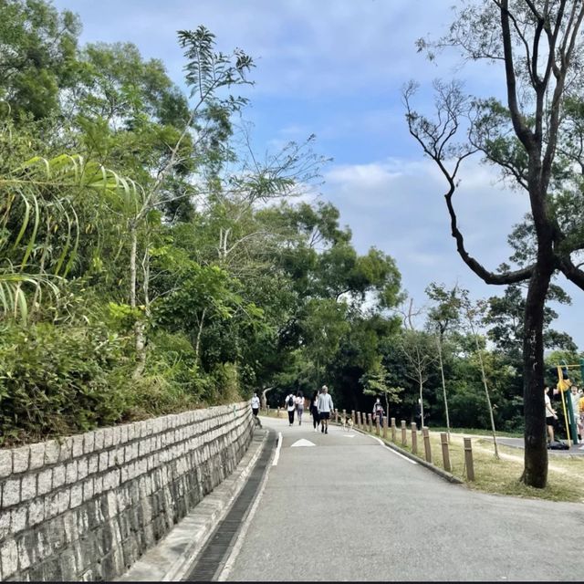 香港行山路徑-西高山📍