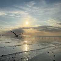 บางปู ธรรมชาติเยียวยาใจฉัน 🕊🕊