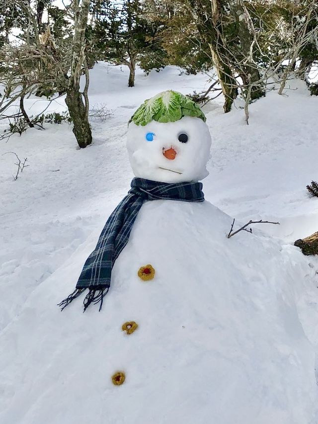 겨울 눈꽃산행 [한라산]