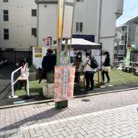 【東京】巳の日にお参りして金運UP✨