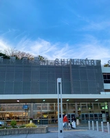 神戸　SAKURA桜めぐり❗️JR新神戸駅前の桜に感動❗️