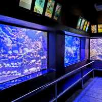 Phuket aquarium