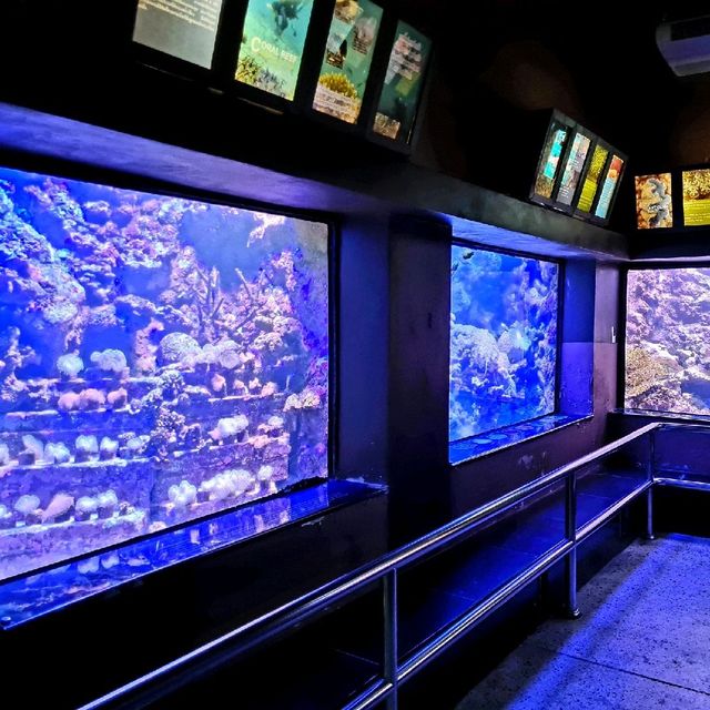 Phuket aquarium