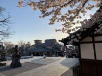 京都　京都散策旅！ねねの道から清水寺まで散策してみた！