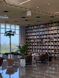 강원도 양양 하조대 근처 솔밭뷰 북카페, 솔밭길 산책은 어때요 🌲