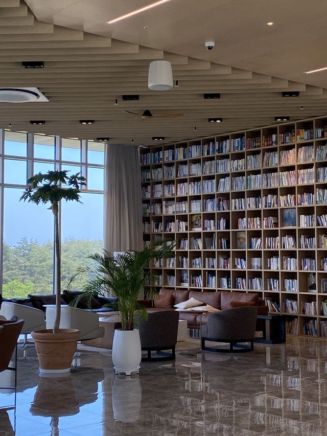 강원도 양양 하조대 근처 솔밭뷰 북카페, 솔밭길 산책은 어때요 🌲