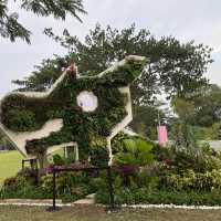 A walk in the park at Jurong Lake Gardens 