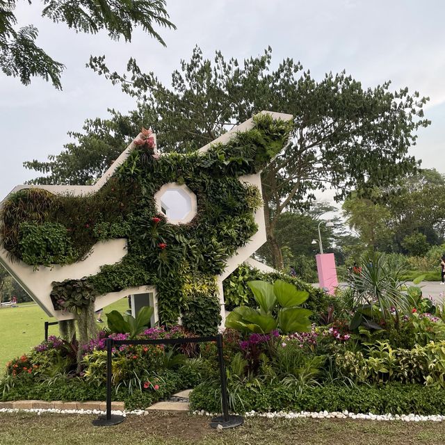 A walk in the park at Jurong Lake Gardens 