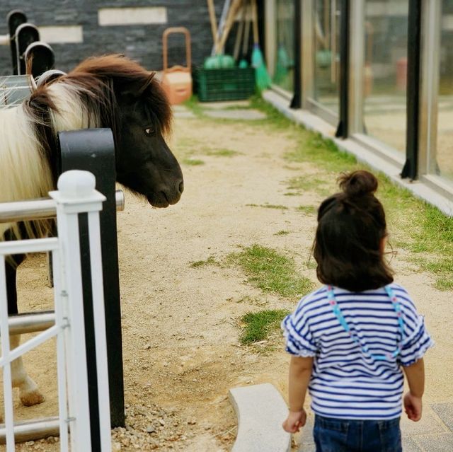 울진 왕피천공원, 아이와 함께 가볼만한 울진여행 장소