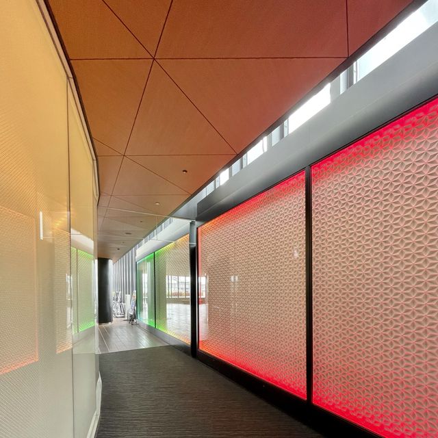 無人のスカイツリーが絶景！